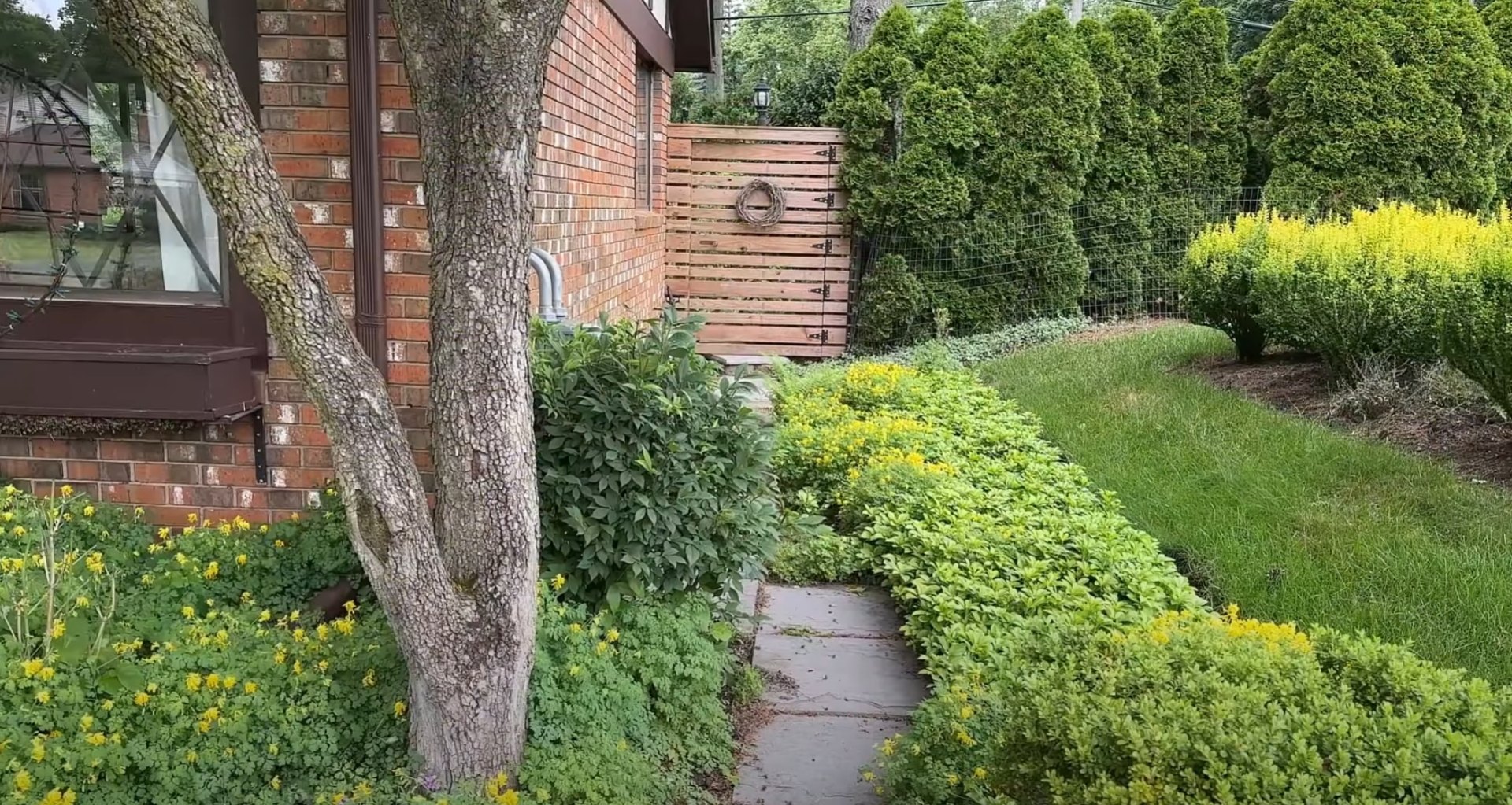Professional landscaping services showing well-maintained residential garden with lush plantings and clean pathways Professional landscaping services showing well-maintained residential garden with lush plantings and clean pathways
