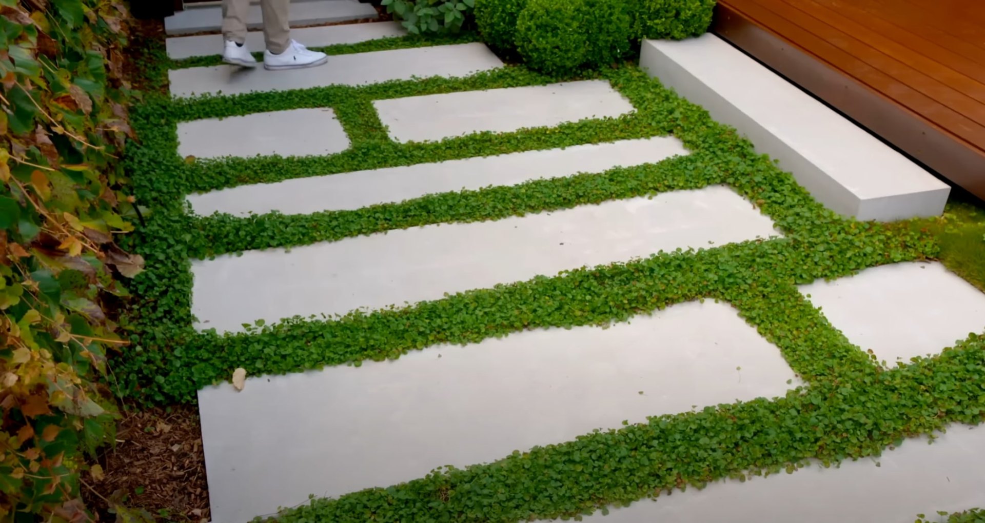 Contemporary stepping stone walkway with ground cover landscaping and modern design elements Modern stepping stone pathway with ground cover plantings and contemporary design